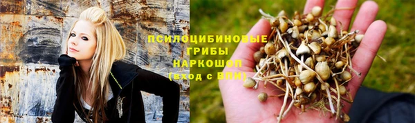 трава Алексин