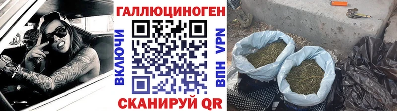 продажа наркотиков  Крымск  МЕГА сайт  Псилоцибиновые грибы GOLDEN TEACHER 